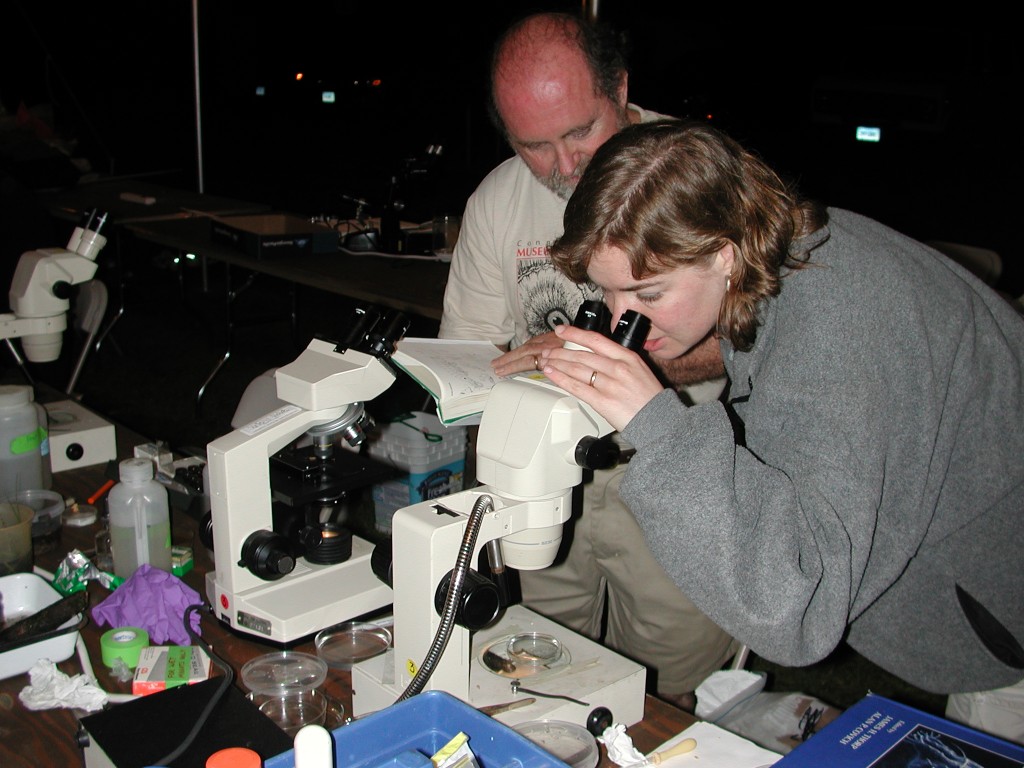 Scientists race against the clock to identify species at the Connecticut BioBlitz.