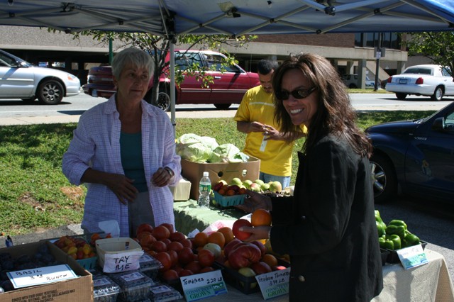 Norwich celebrates its history this year.  Jacquie Barbarossa, Norwich Tourism, at the farmers' market.