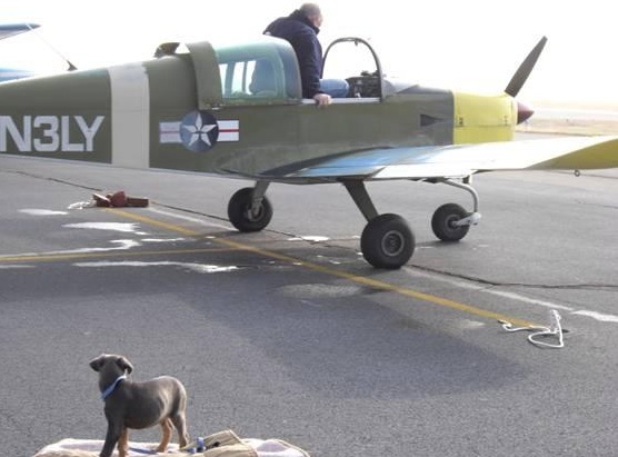 Pilot Jim Pyke flew this Doberman pup (the pup is blind and was to be put down) from North Carolina to a new home in Kentucky.)